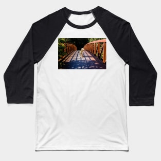 Dog On The Trail 2 Baseball T-Shirt